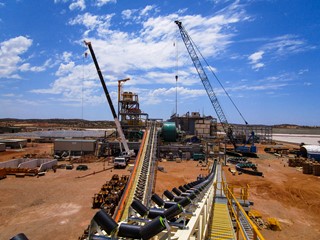 Mt Morgans Gold Project